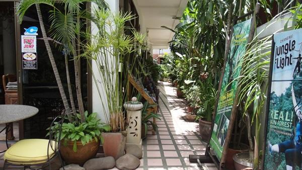 צ'יאנג מאי The Red Hibicus Guest House מראה חיצוני תמונה