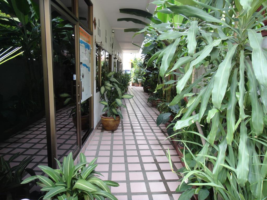 צ'יאנג מאי The Red Hibicus Guest House מראה חיצוני תמונה